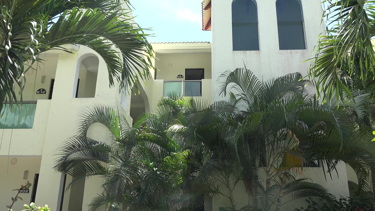 Opening frame in Playa Del Carmen shows green palm fronds covering much of a white building facade with arched balcony openings and no visible people.