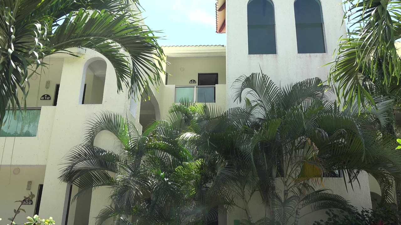 At 0:01 in Playa Del Carmen, overlapping palm leaves sit in front of pale walls, glass balcony railings, dark windows, and no visible people.
