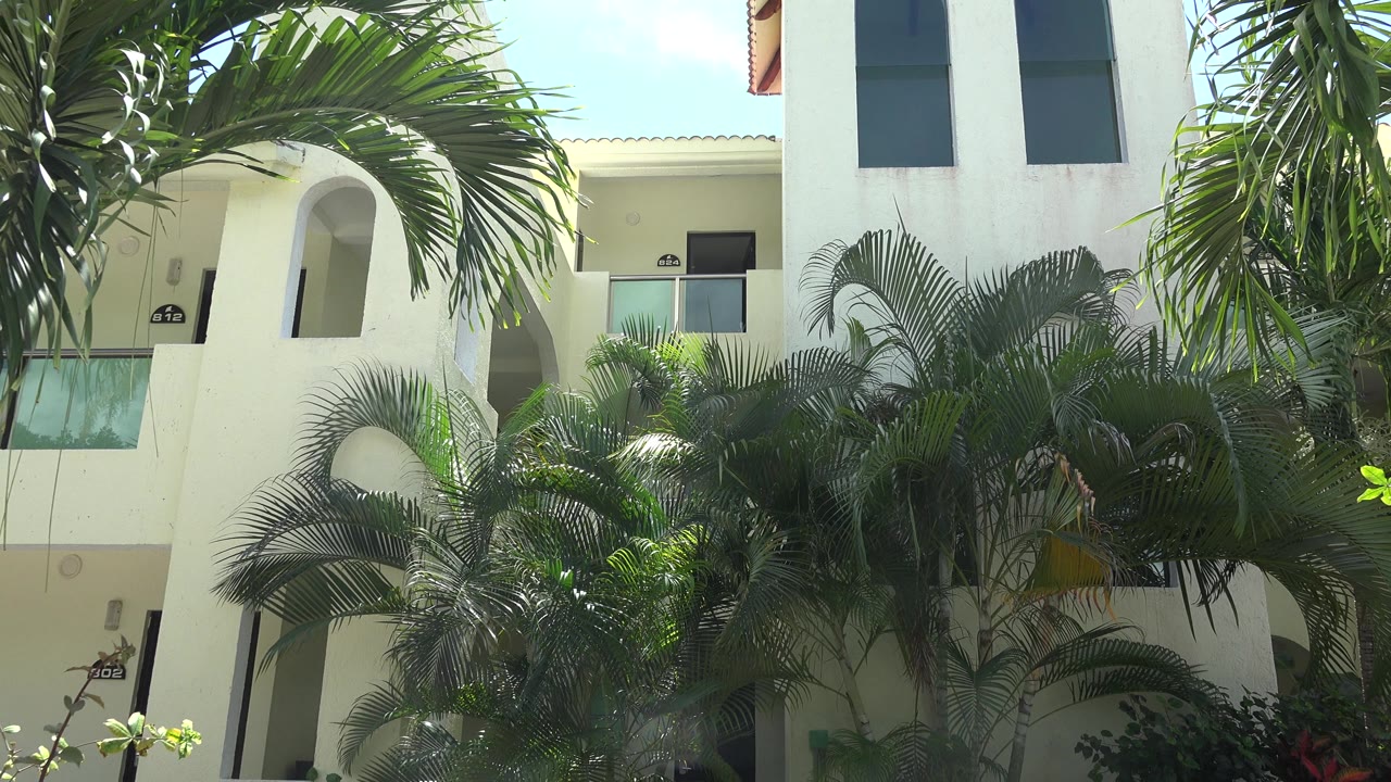Palm canopy and cream building exterior under bright daylight.