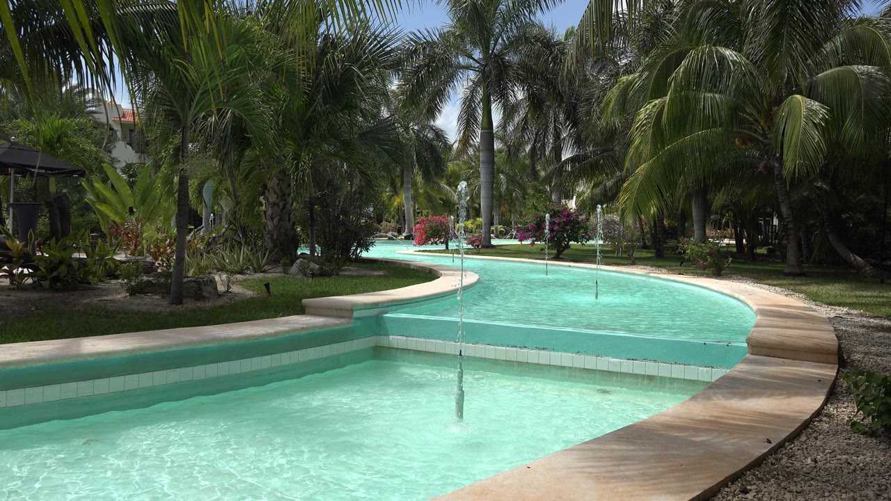 Circular fountain curve leading toward palms and flowering shrubs.