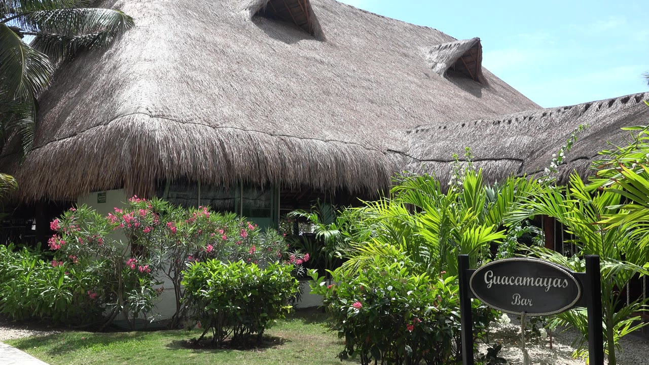 Thatched-roof bar exterior with tropical plants and a Guacamayas Bar sign.