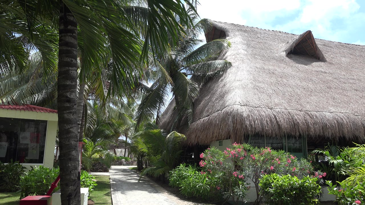 Sunny hut roof with palms and garden plants