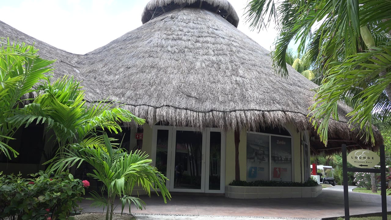 A Playa del Carmen thatched-roof building seen from ground level, with palm fronds overlapping the roofline, glass entry doors below, a small sign at right, and no visible people.