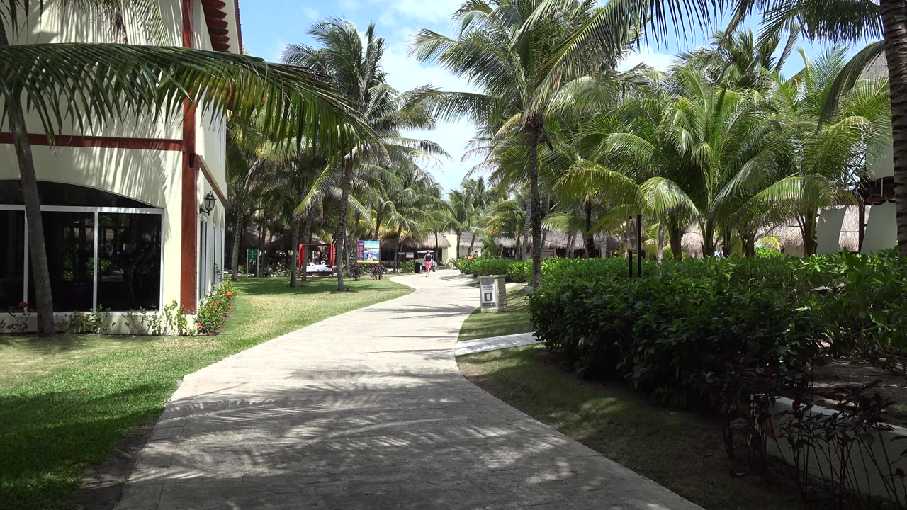 A paved walkway in Playa Del Carmen, Mexico runs past a building edge, grass, hedges, and tall palms in bright daylight, with no visible people.