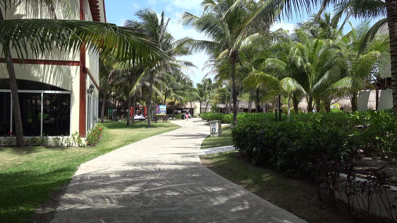 Resort path bordered by palms, grass, and hedges.