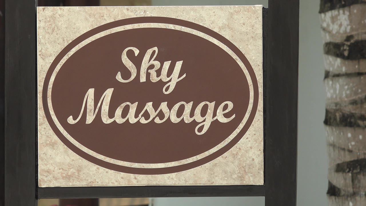 Close view of a Sky Massage sign beside palm trunks.
