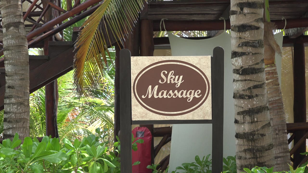A closer centered view of the Sky Massage sign sits between palm trunks and dense green shrubs at the Playa del Carmen resort, with no visible people.