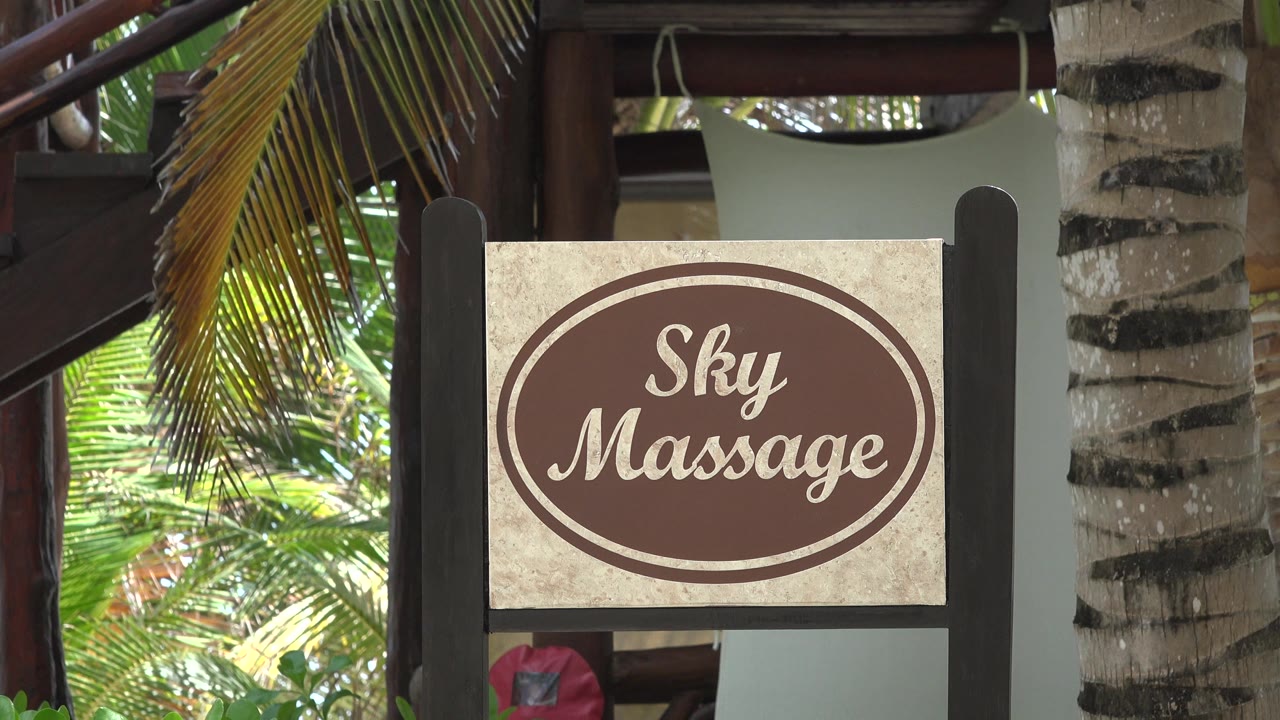 Centered Sky Massage sign in Playa del Carmen with palm leaves crossing the upper frame, a palm trunk to the right, dark resort railings, and no visible people.