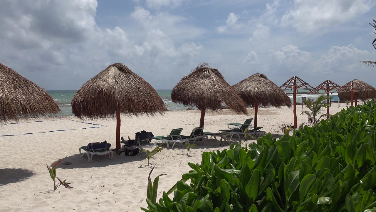 Opening frame of a Playa del Carmen beach with palapa umbrellas, empty lounge chairs, green foreground plants, pale sand, turquoise water, cloudy sky, and no visible people.