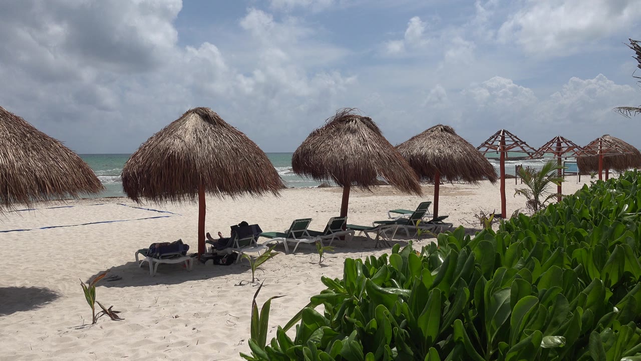 Palapa umbrellas and lounge chairs on a sandy beach with ocean behind them.