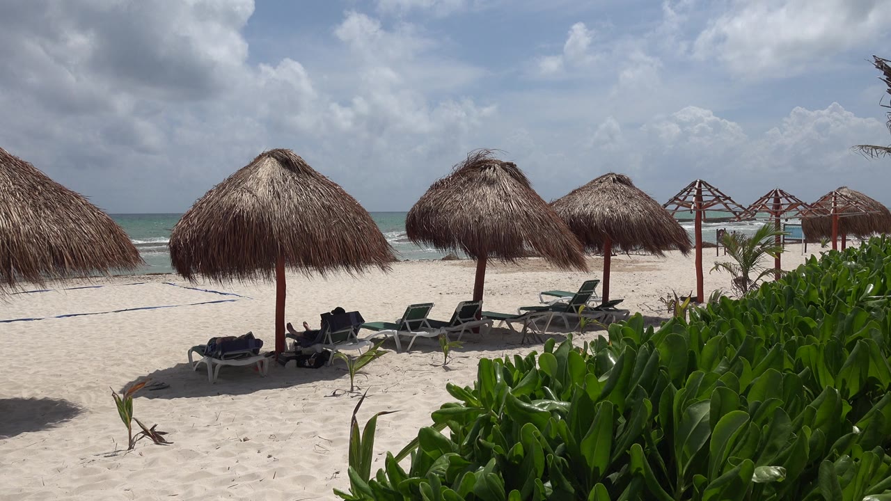 The frame holds on Playa del Carmen palapas and rows of loungers, with pale sand in front, green foliage to the right, and choppy-looking water beyond.