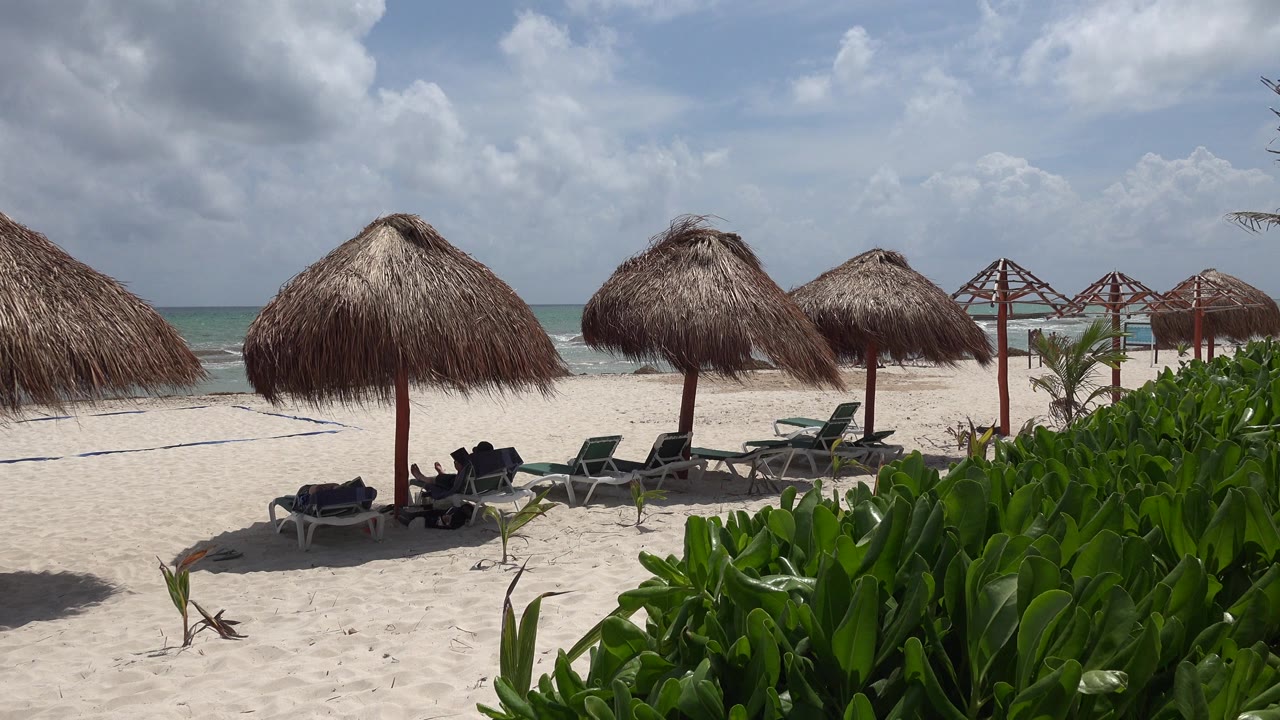Opening frame of Playa del Carmen beach with thatched umbrellas, empty lounge chairs, pale ocean water, foreground green plants, and no visible people.