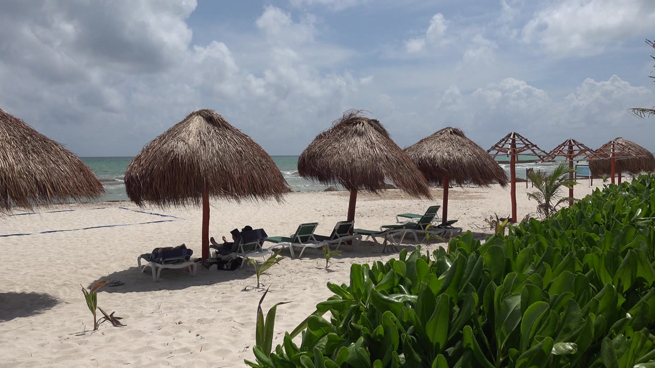 Playa del Carmen beach view with a central thatched umbrella, empty loungers beneath it, green plants along the right edge, ocean behind, and no visible people.