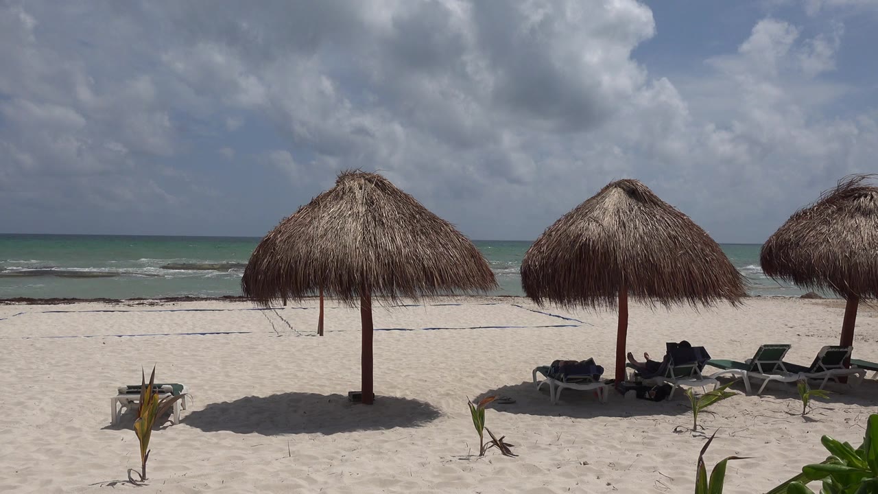Opening frame of a Playa del Carmen beach with three thatched umbrellas, empty lounge chairs, small foreground plants, low waves, and no visible people.