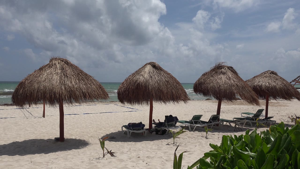 Opening frame of thatched palm-frond umbrellas and empty lounge chairs on a Playa del Carmen beach, with green plants in the foreground, small waves behind, and no visible people.