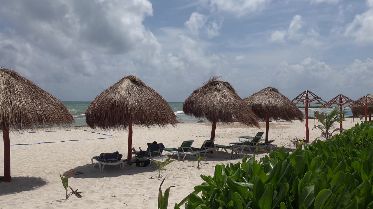 Opening frame of Playa del Carmen beach loungers under thatch palapa umbrellas, green plants at right, ocean on the horizon, and no visible people.