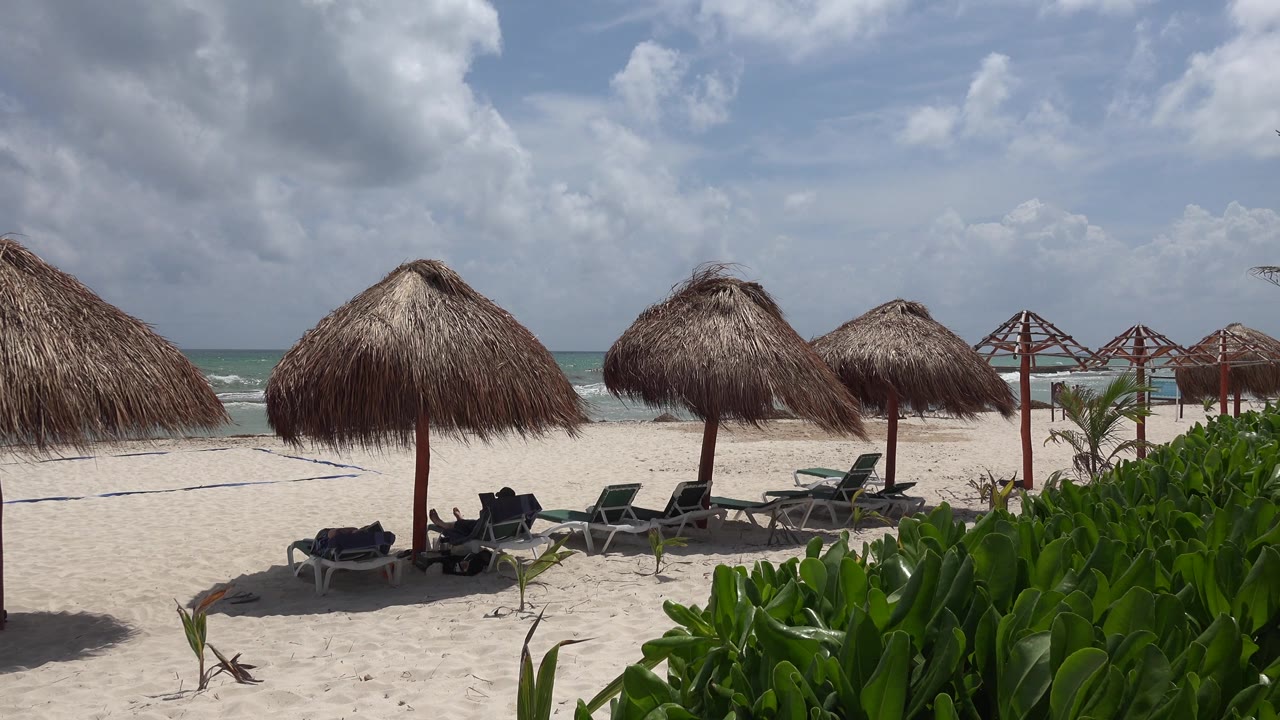 Quiet beach with palapa umbrellas, lounge beds, plants, and ocean.