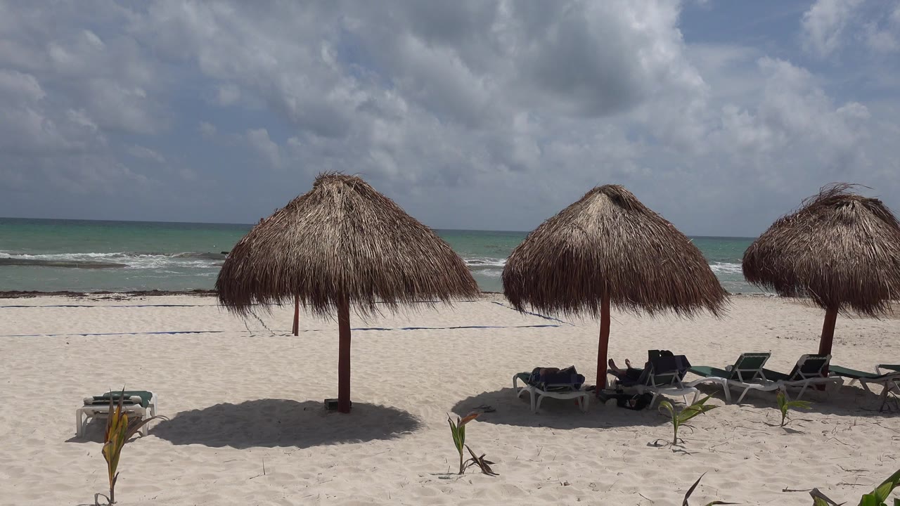 Opening view of a Playa del Carmen beach with three thatched umbrellas on pale sand, lounge chairs to the right, small waves behind them, and no visible people.