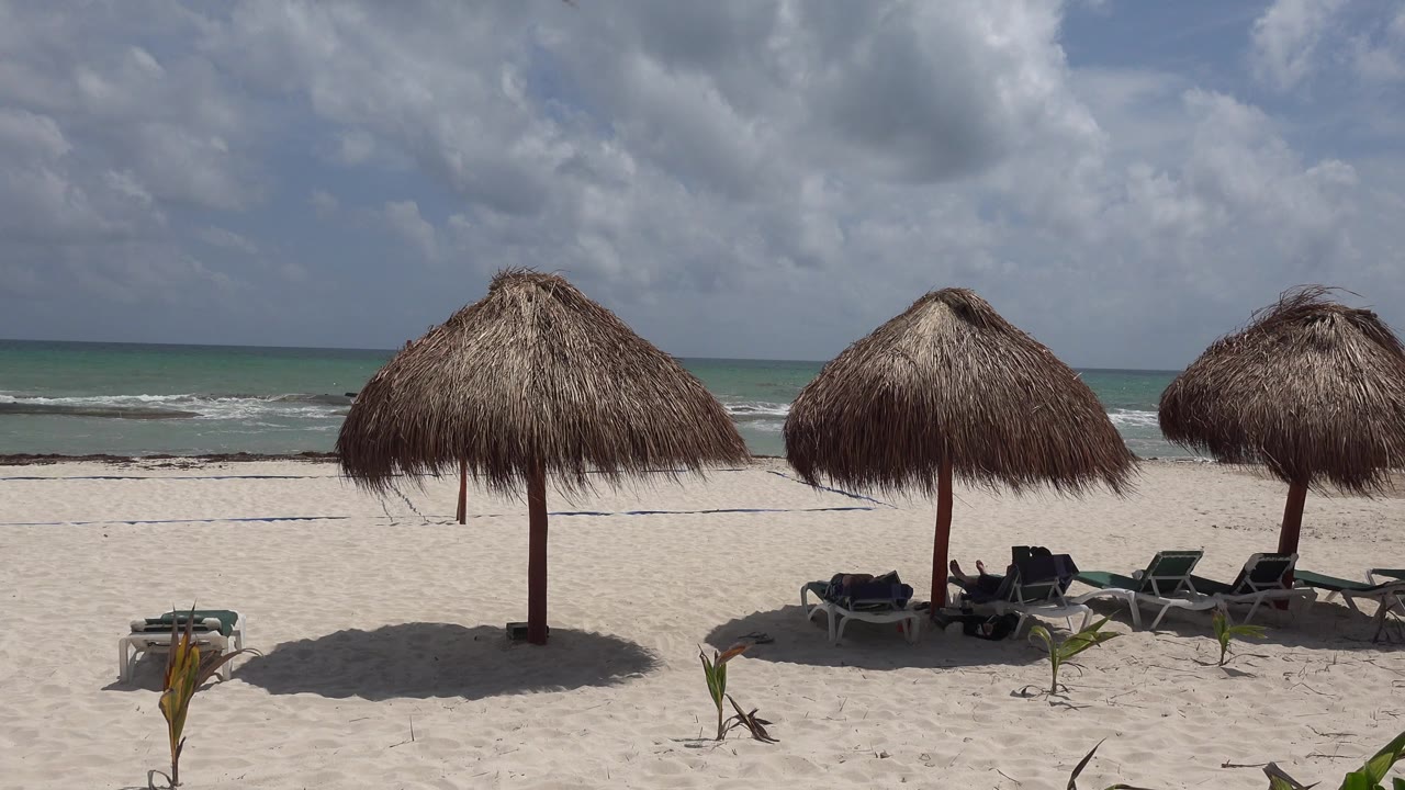 Playa del Carmen shoreline frame with the central thatched umbrella casting a shadow on sand, lounge chairs clustered under the right umbrellas, and no visible people.