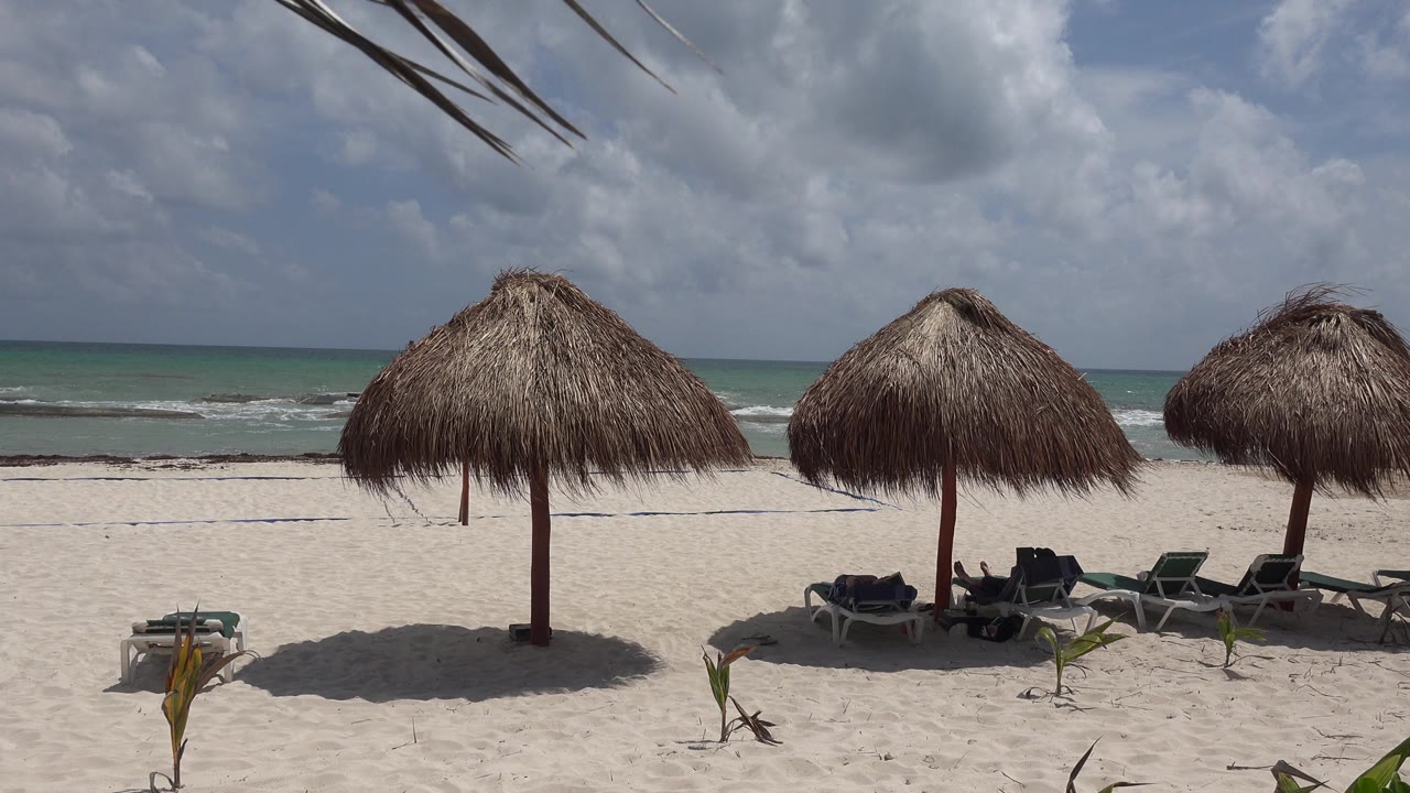 Three straw beach umbrellas with lounge chairs on sand and waves in the background.