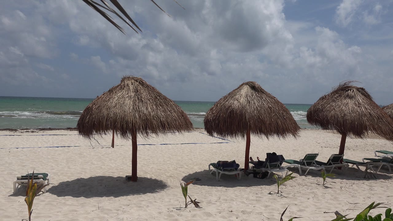 Thatched beach umbrellas and lounge chairs on sand beside the ocean.