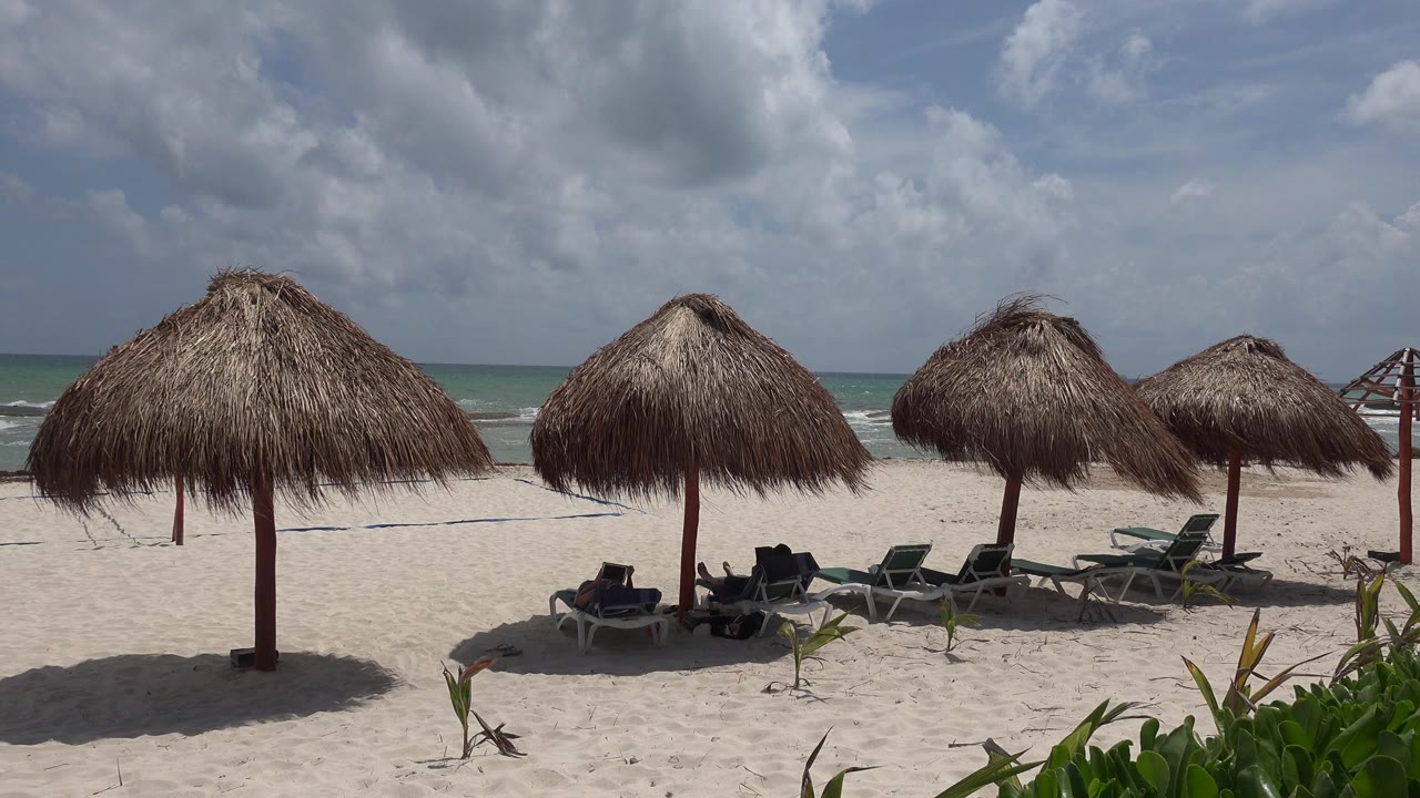 Opening frame of a Playa del Carmen beach with thatched palapa umbrellas, lounge chairs in shade, low plants at right, and small distant beachgoers near the surf line.