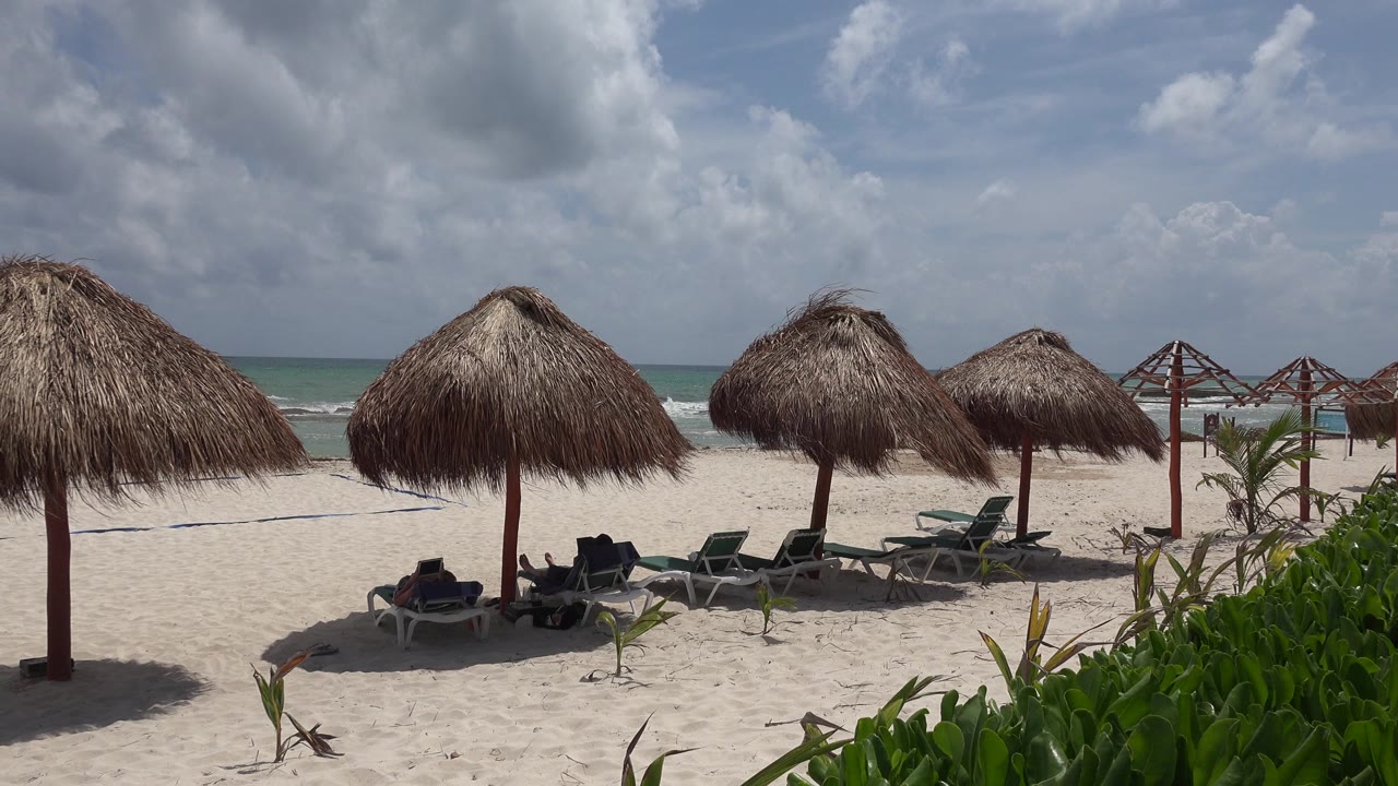 Palapa umbrellas and lounge chairs on a sandy beach with ocean beyond.