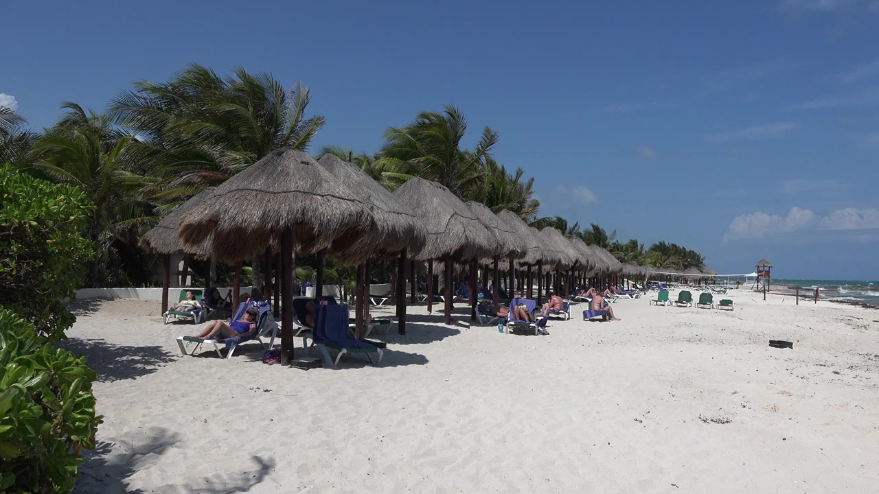 Beach chairs under thatched umbrellas beside white sand and ocean