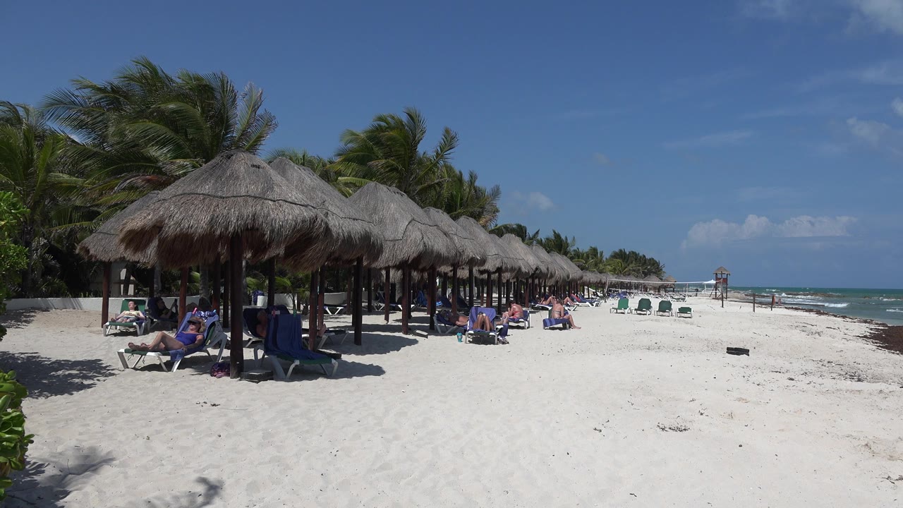 Beach with thatched palapas, lounge chairs, people, sand, and ocean.