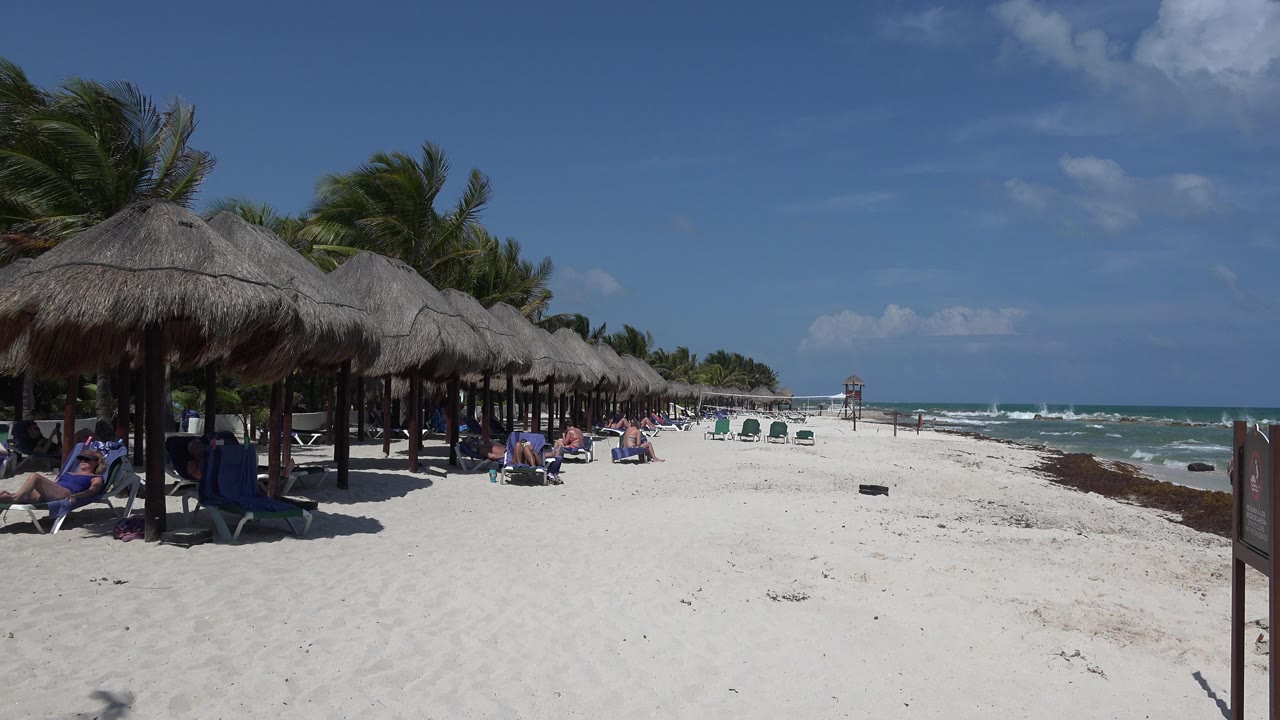 Thatched beach shade huts beside white sand and ocean waves.