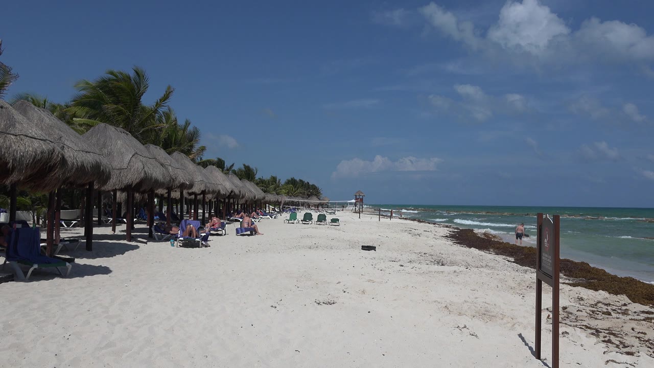 Opening frame of a Playa del Carmen beach with palapa shade roofs at left, several sunbathers near lounge chairs, white sand, seaweed along the shore, and small waves under a blue sky.