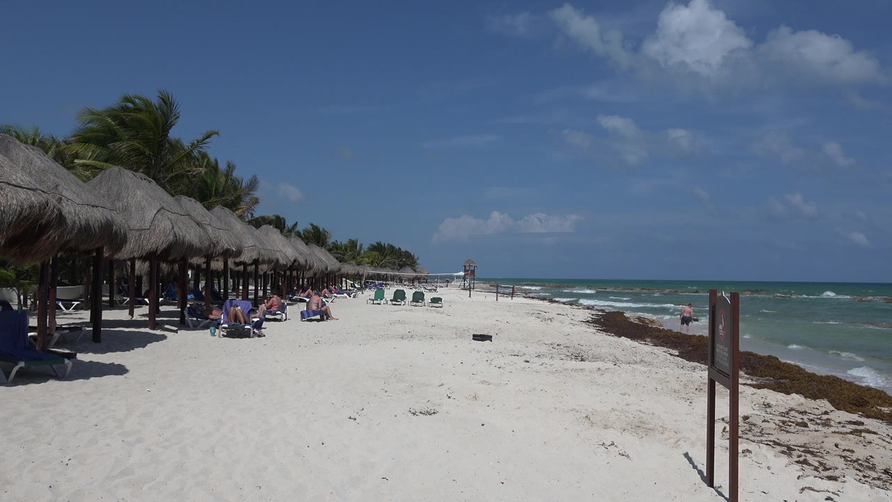 Thatched beach shelters line the sand beside sunbathers and a blue-green sea.