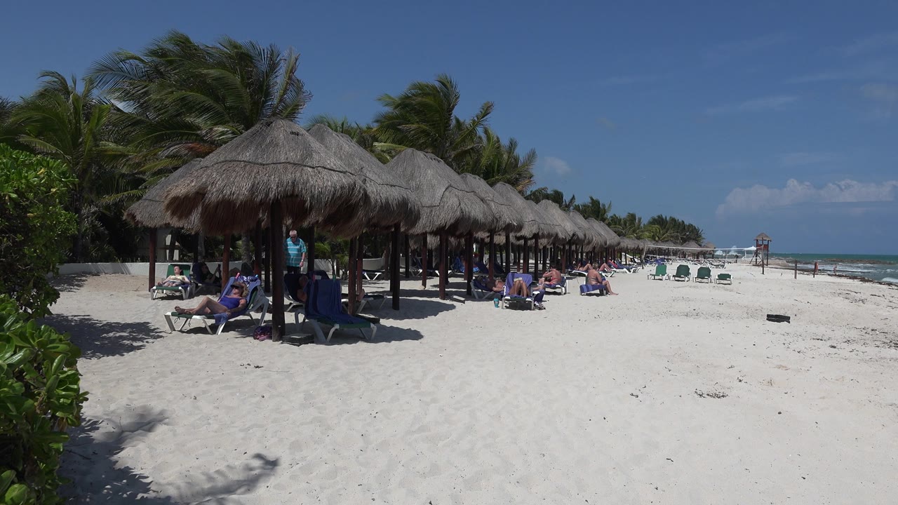 Row of thatched cabanas beside palms and ocean surf.