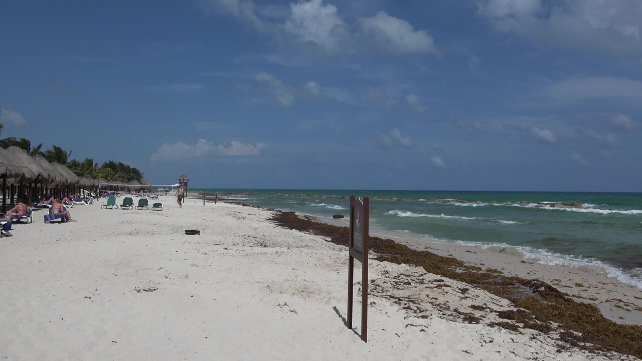 Playa del Carmen shoreline at the start of the clip, with white sand, a brown seaweed line, small waves, palapa shade at far left, and distant beachgoers near lounge chairs.