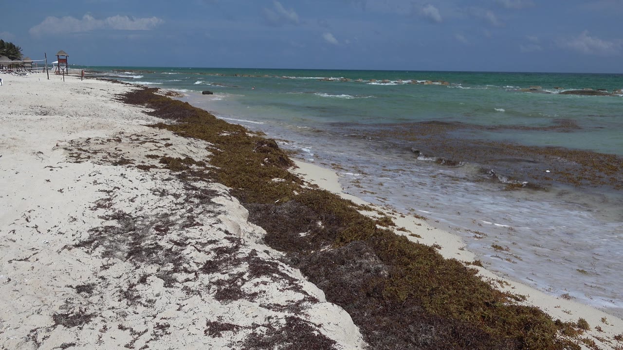 Empty beach with dark seaweed, turquoise water, and small breaking waves.
