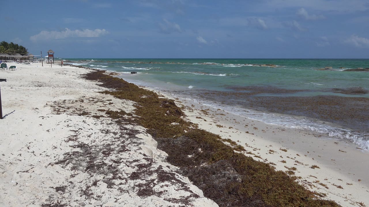 Beach and shallow ocean with a dark post at the left edge