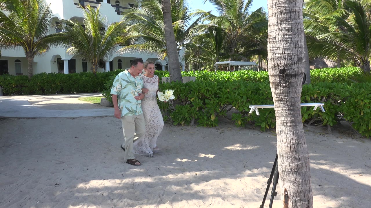 Father and bride walking on sand near palm trees.