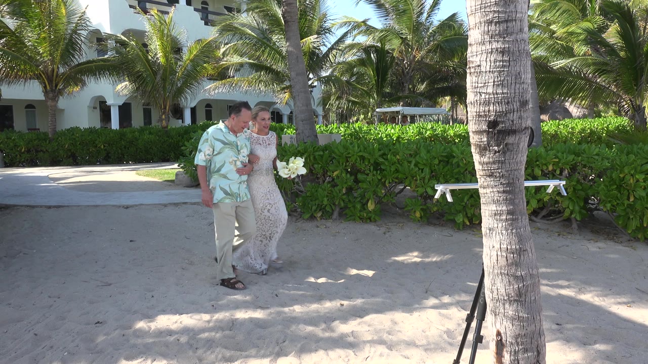 At 0:01 in Playa Del Carmen, the bride and the man walk closer together on the sand, with a palm trunk foreground right and green hedges behind them.