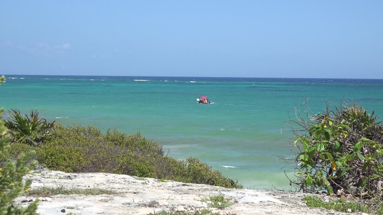 Red object floating offshore with white wave streaks and green coastal brush.