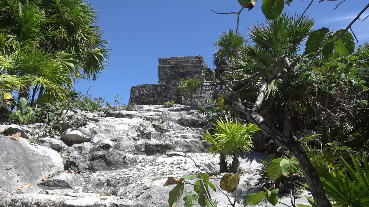 Opening frame from Tulum, Mexico showing pale rocky steps leading past palms toward a gray stone structure, with no visible people.