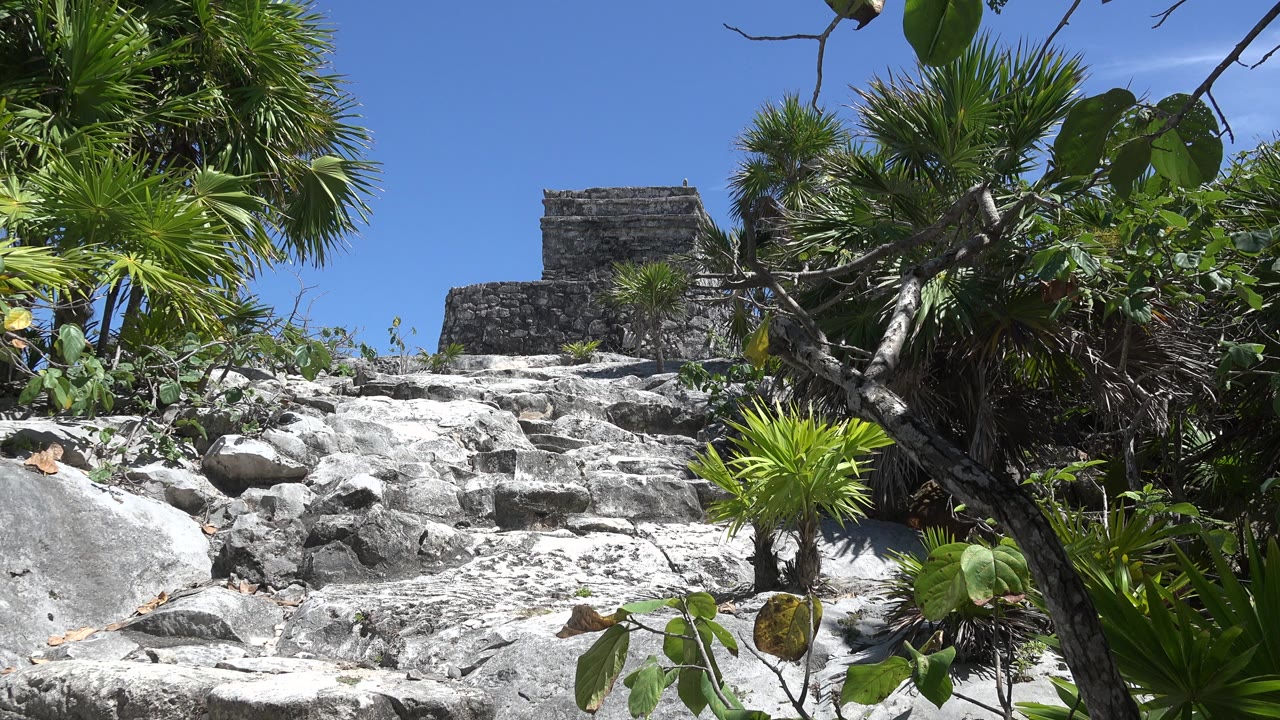 Tulum, Mexico stone steps rise toward a small dark stone building, with green shrubs and palm-like leaves framing the view and no visible people.