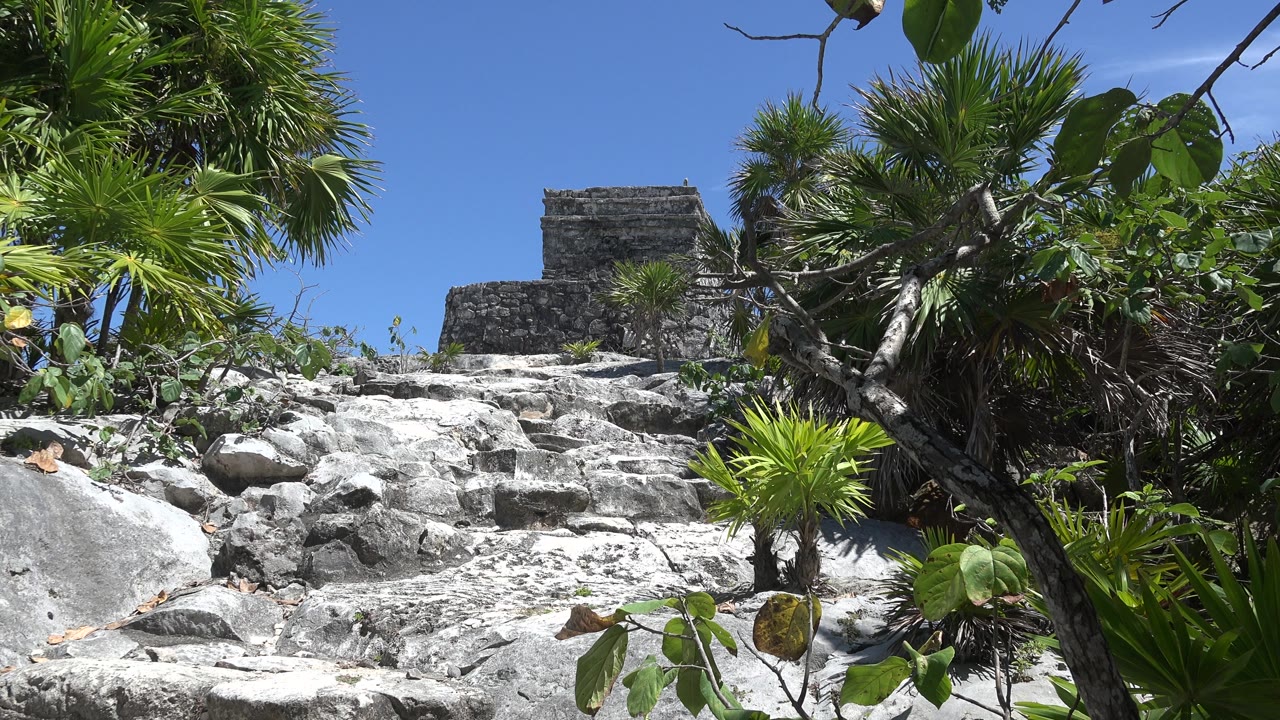 Bright rocky steps below a dark stone structure with tropical foliage
