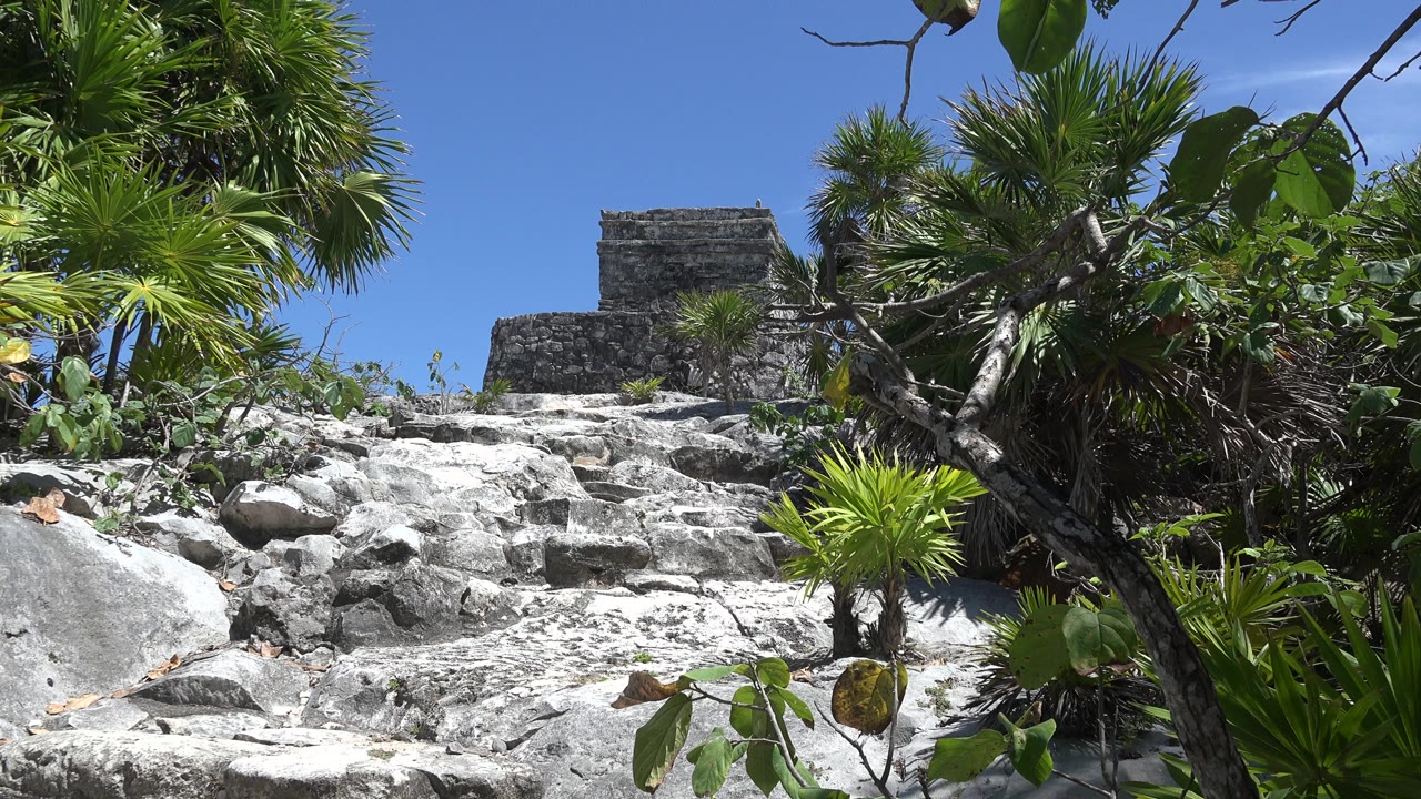Opening frame of a sandy limestone climb in Tulum, Mexico, with green foliage on both sides, a small stone structure at the top, blue sky above, and no visible people.