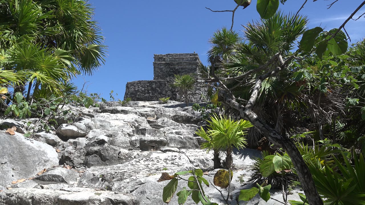 Sunlit stone climb bordered by tropical greenery and a small ruin above.