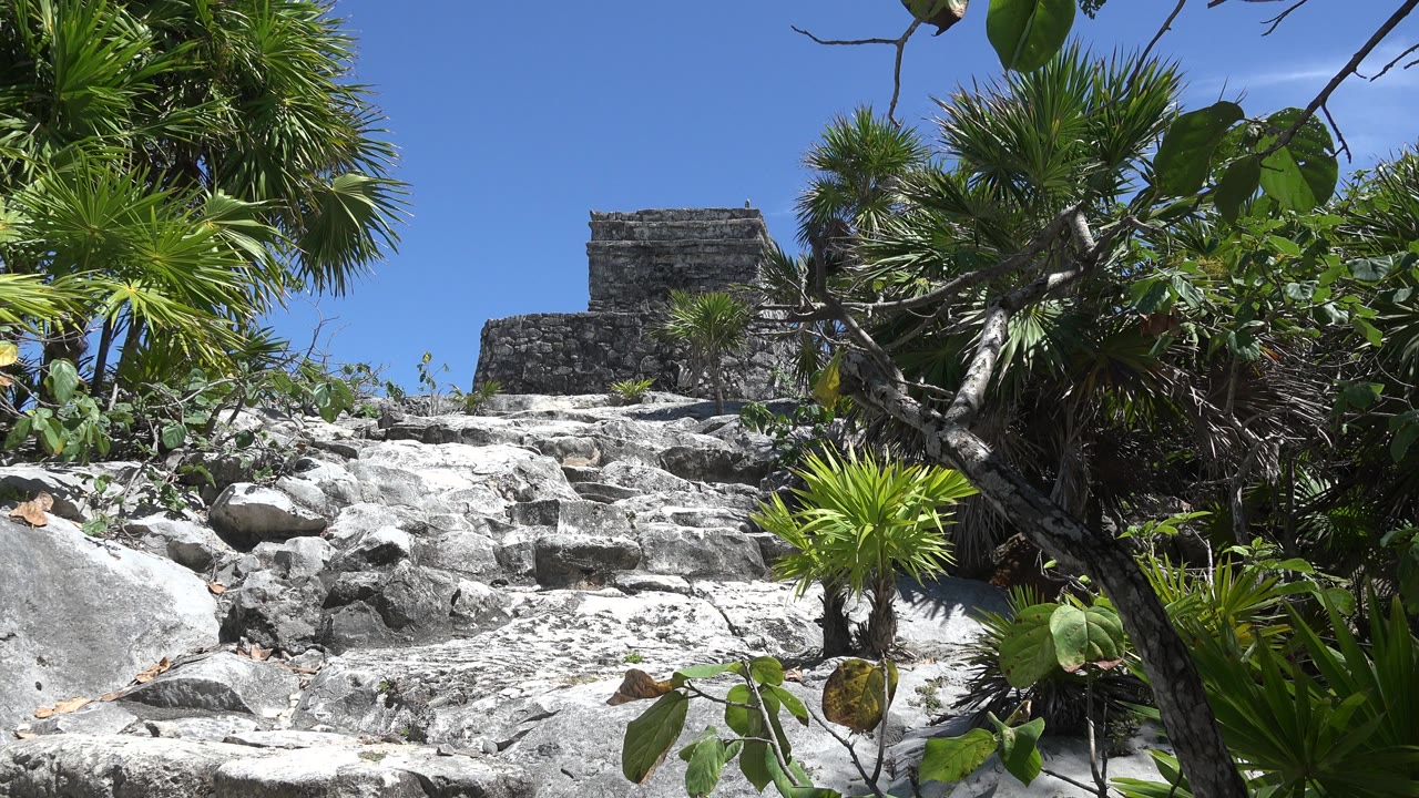 Stone steps leading toward a gray building framed by green palms and blue sky.