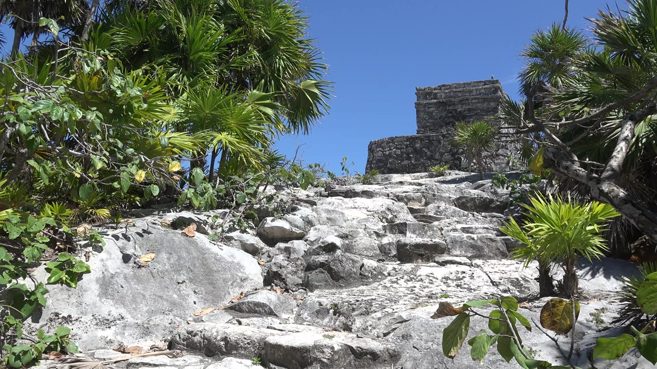 Rocky steps leading to an old stone building among palm trees