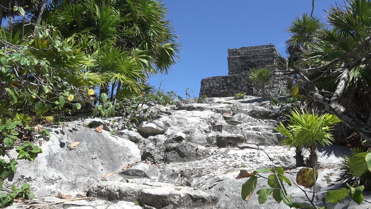 Stone steps leading up to a small rock structure surrounded by green palms.