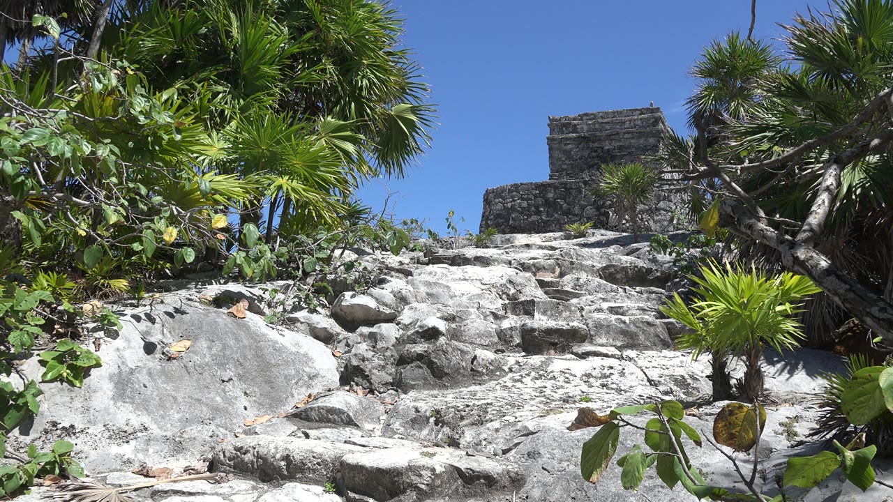 Tulum, Mexico frame with the stepped rock path centered under the stone building, bright sky above, and leafy vegetation pressing in from both sides with no visible people.