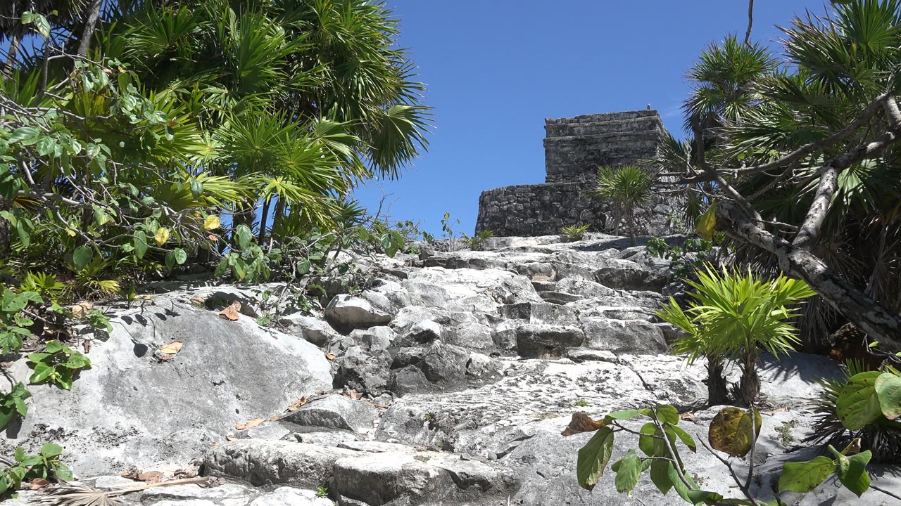 At 0:01 in Tulum, Mexico, sunlit limestone rocks fill the foreground while palm-like foliage surrounds a weathered stone structure in the upper frame, with no visible people.