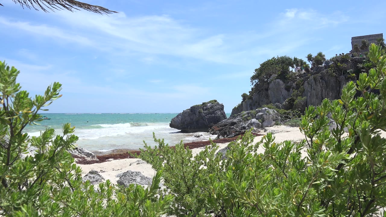 Opening frame of a Tulum, Mexico beach view with leafy foreground plants, a rocky shore, pale sand, turquoise water, and no visible people.